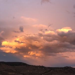 Meet your Posher, Mackenzie